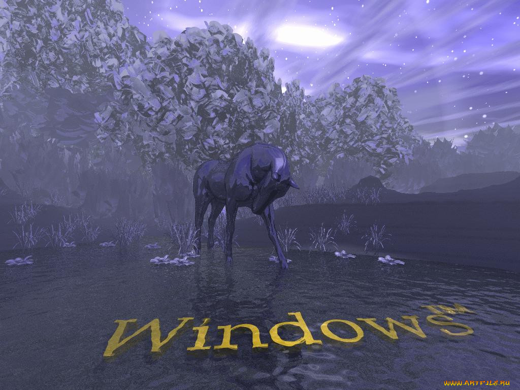 , windows, xp